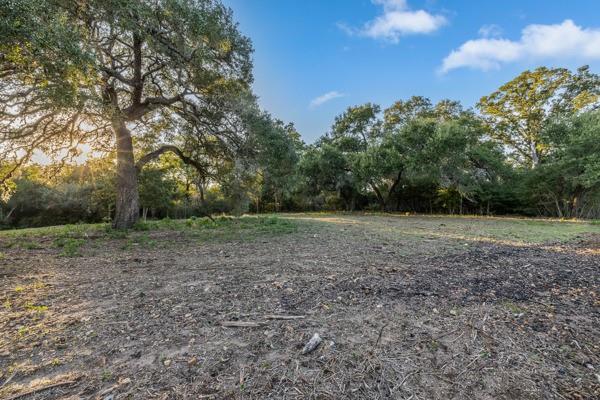 TBD Drake Lane - Lot 23, Round Top, Texas image 3