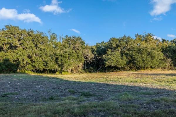 TBD Drake Lane - Lot 23, Round Top, Texas image 4