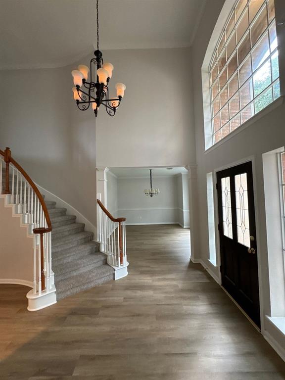 8318 Castle Pond Court, Houston, Texas image 10