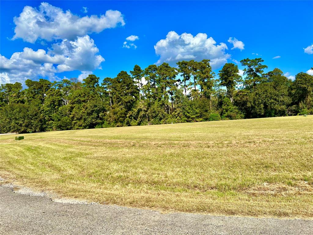 23 Wildwood Lake Drive, Huntsville, Texas image 4