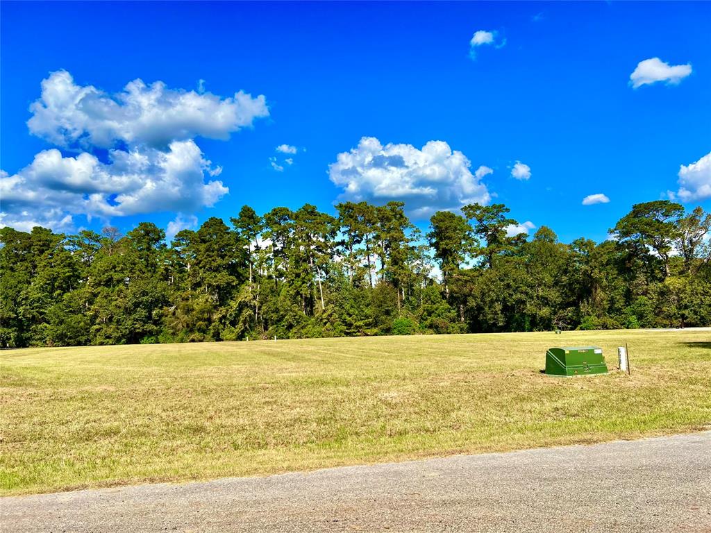 23 Wildwood Lake Drive, Huntsville, Texas image 16