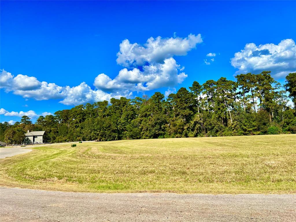 23 Wildwood Lake Drive, Huntsville, Texas image 2
