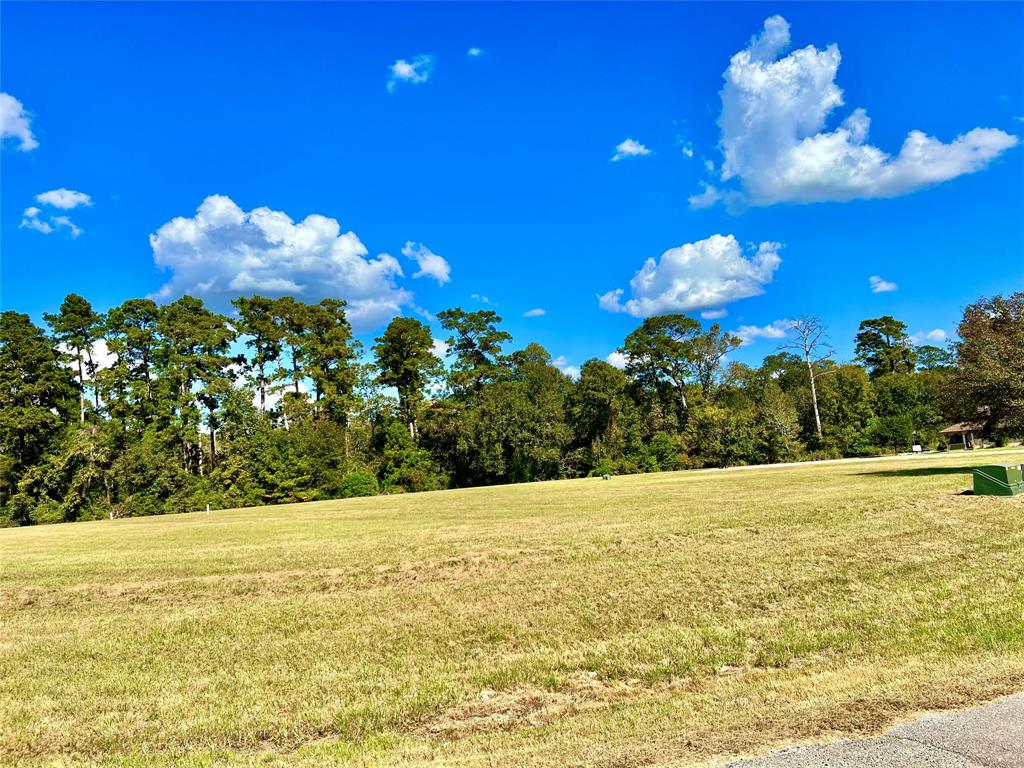 23 Wildwood Lake Drive, Huntsville, Texas image 6