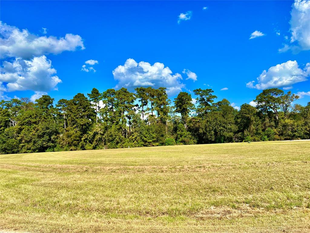 23 Wildwood Lake Drive, Huntsville, Texas image 7