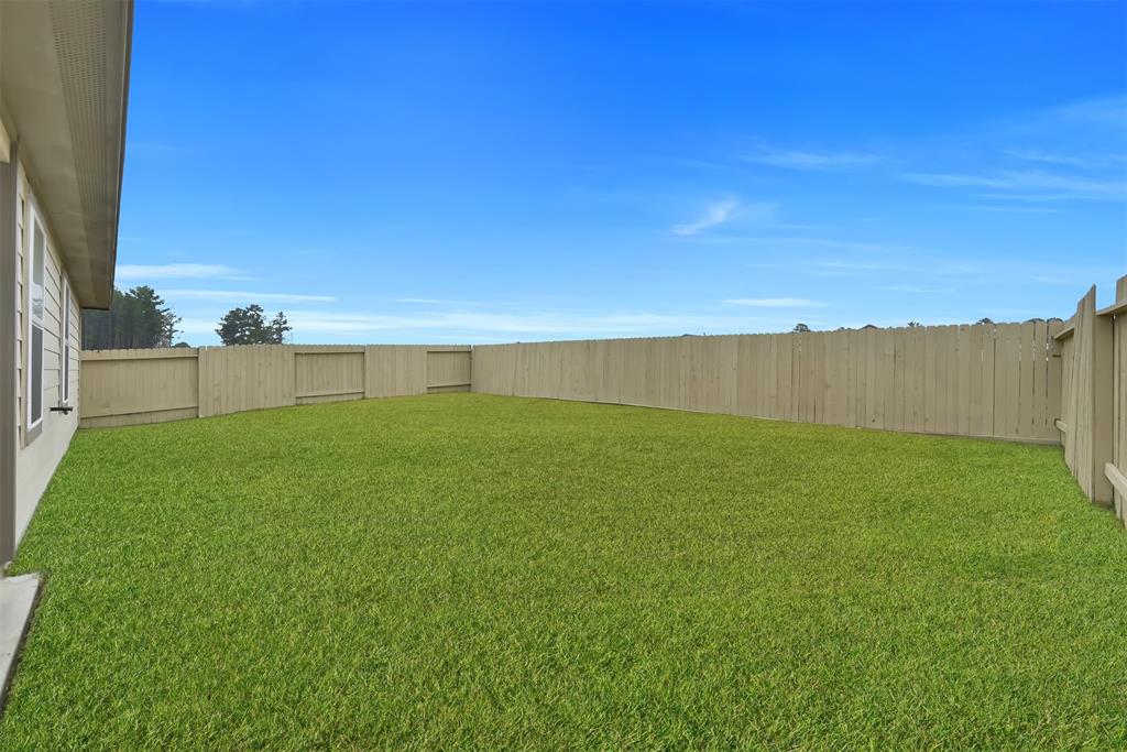 14238 Black Canyon Lane, Conroe, Texas image 23