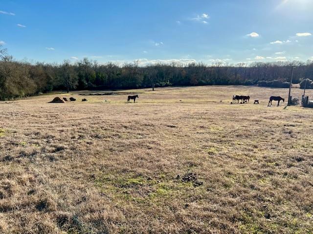 9036 County Road 329, Buffalo, Texas image 16