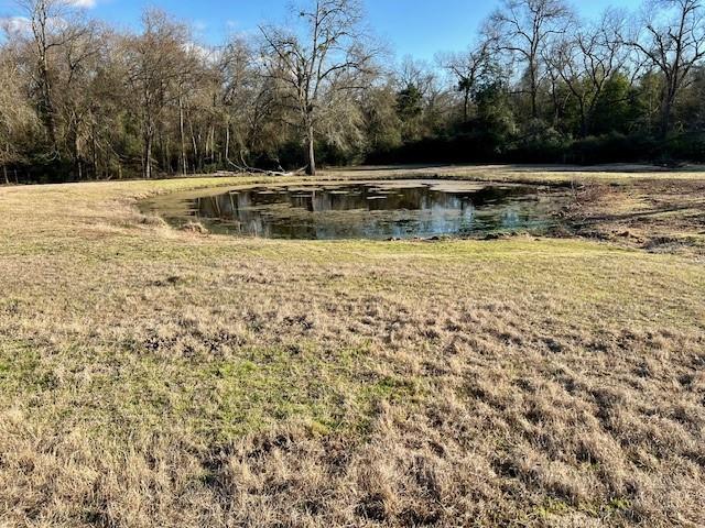 9036 County Road 329, Buffalo, Texas image 8