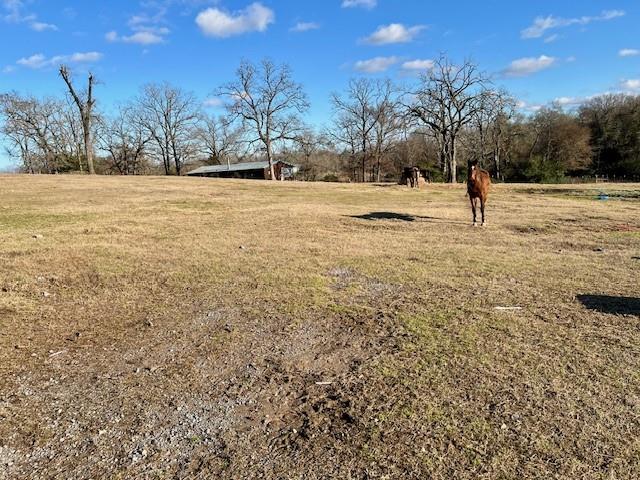 9036 County Road 329, Buffalo, Texas image 4