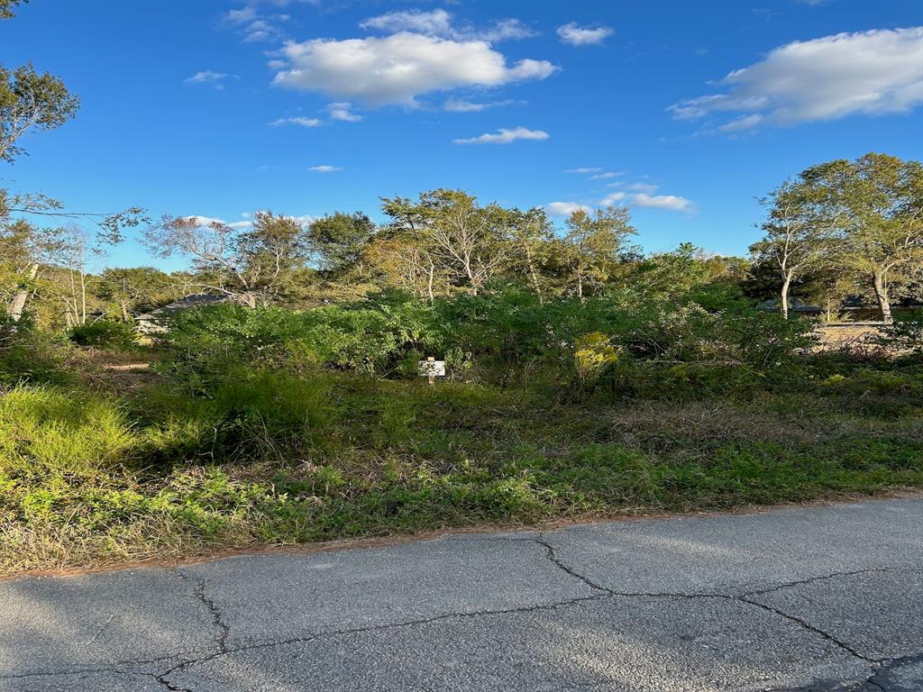 Lot#4 Woodlake Road, Houston, Texas image 1