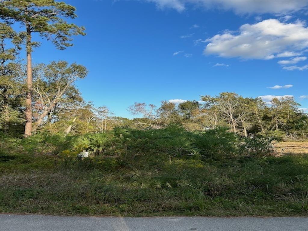 Lot#4 Woodlake Road, Houston, Texas image 2
