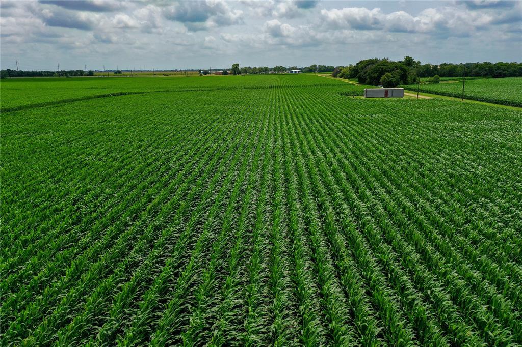 00 Us 59 Road, El Campo, Texas image 6