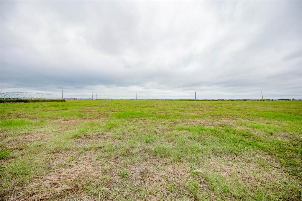 14209 County Line Road, Wallis, Texas image 7