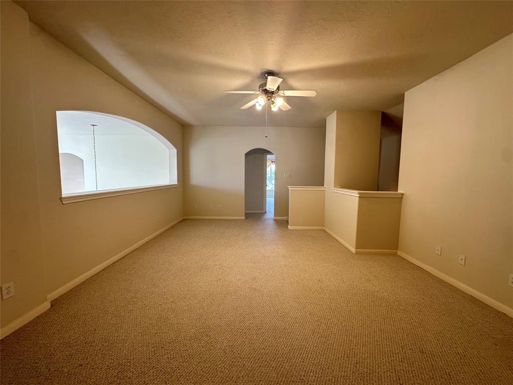 13330 Vineyard Falls Drive, Houston, Texas image 20