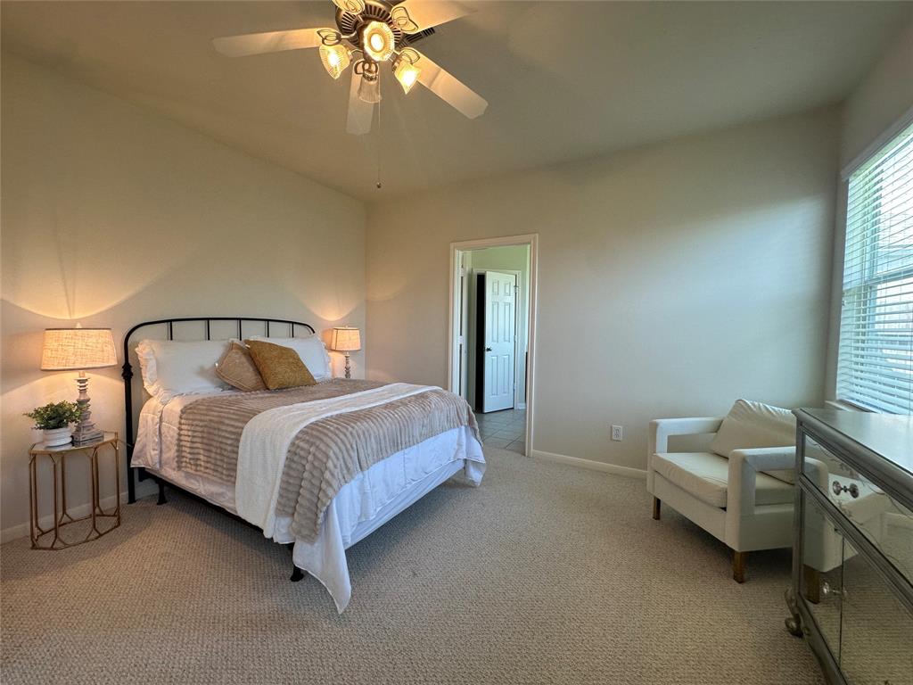 13330 Vineyard Falls Drive, Houston, Texas image 14