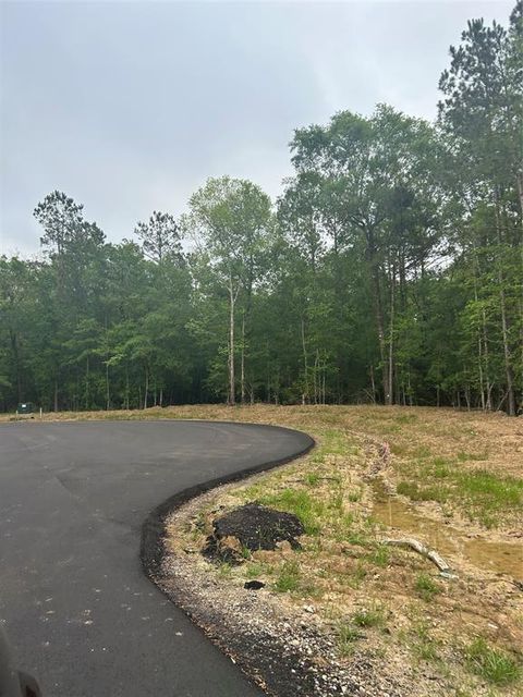 Vacant Land For Sale - 1138 County Road 6324<br/> Dayton, TX 77535