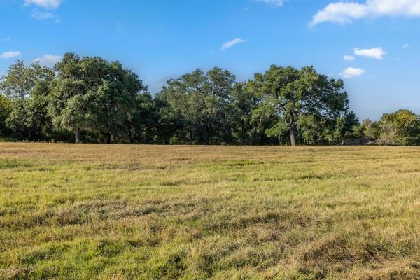 TBD Drake Lane-lot 5, Round Top, Texas image 4