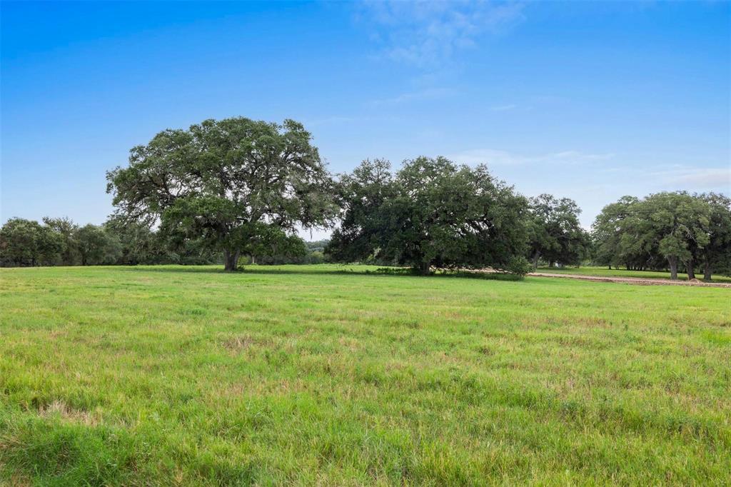 TBD Drake Lane-lot 5, Round Top, Texas image 5