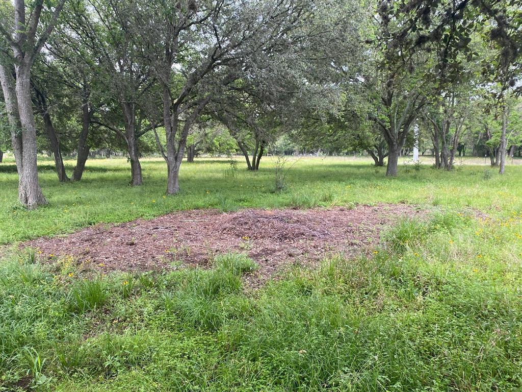 I-10 Frontage Evans, Alleyton, Texas image 12