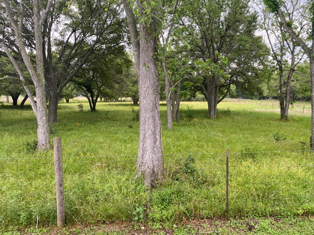 I-10 Frontage Evans, Alleyton, Texas image 11