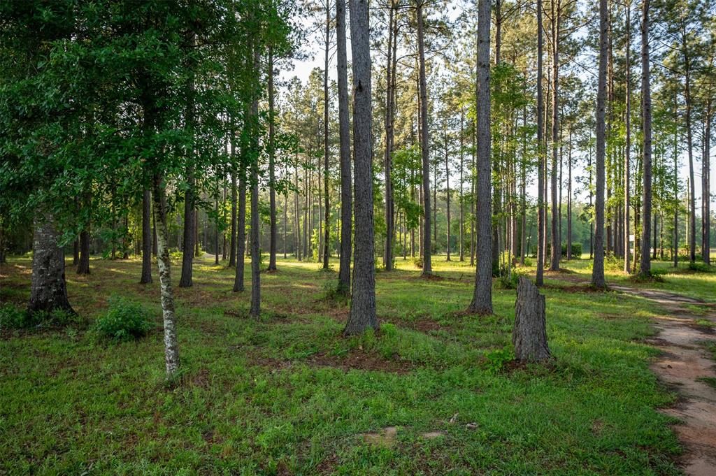 Tbd County Road 4670, Fred, Texas image 4