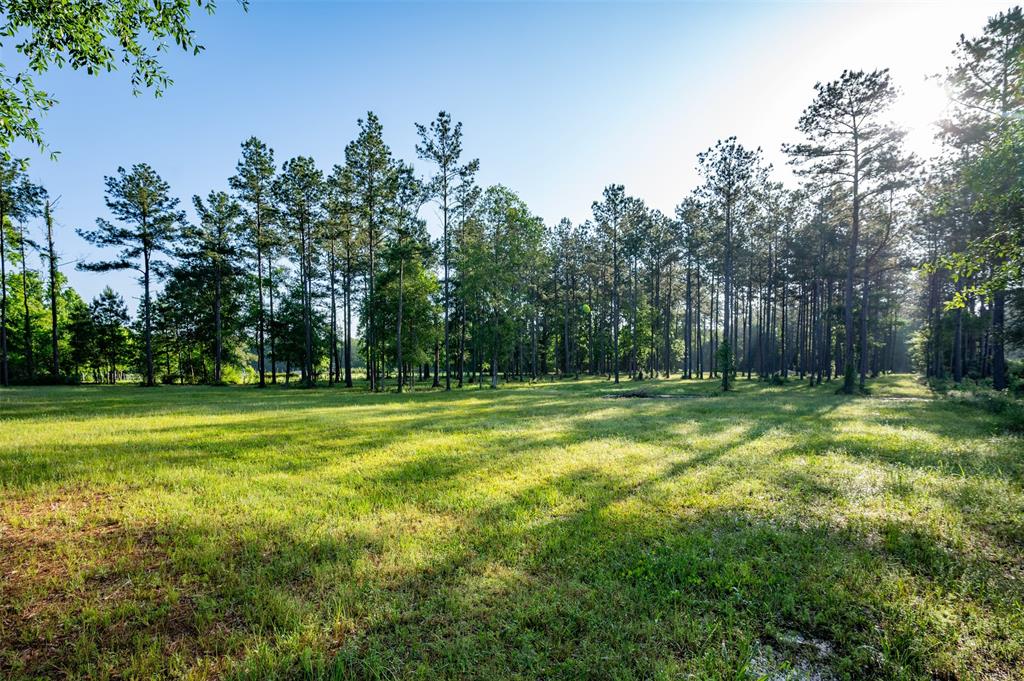 Tbd County Road 4670, Fred, Texas image 2