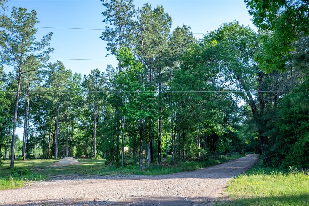 Tbd County Road 4670, Fred, Texas image 6