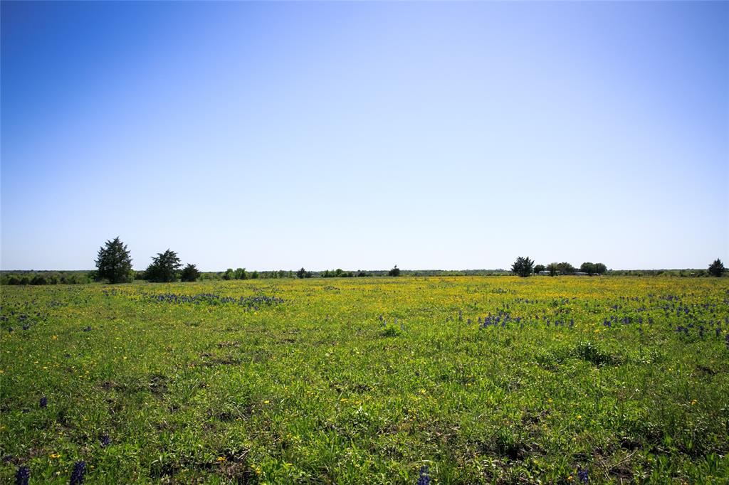 177 Acres Chadwick Hogan Road, Chappell Hill, Texas image 4