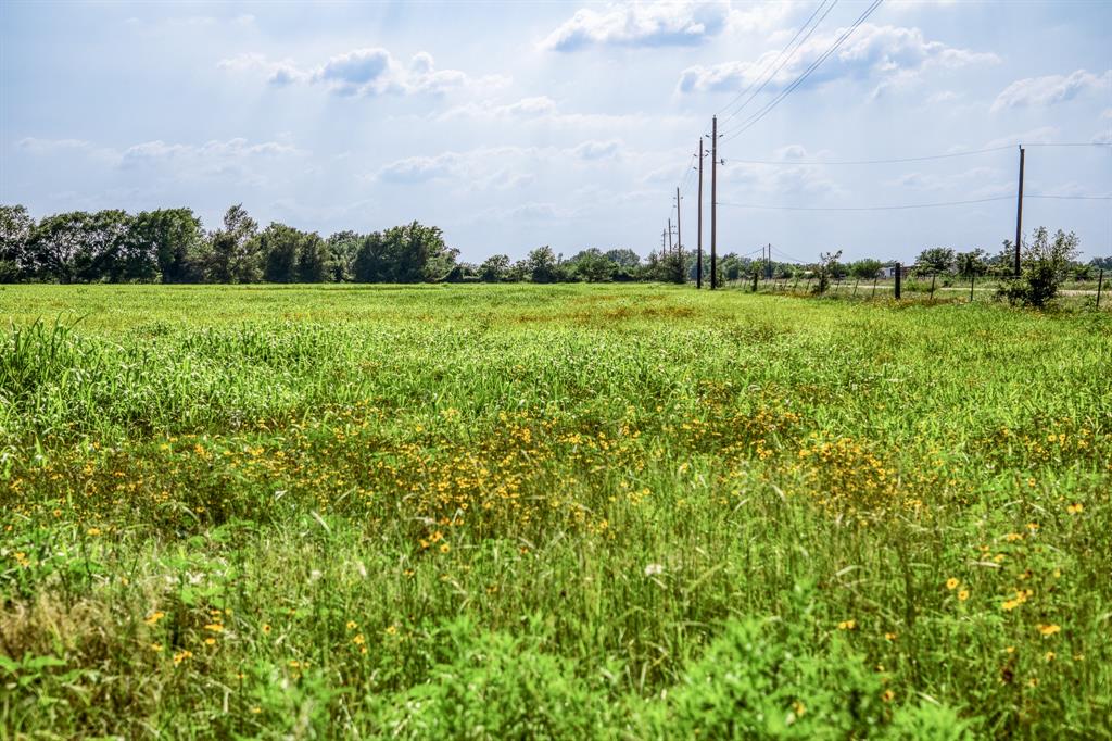 4 Bell Road, Waller, Texas image 7