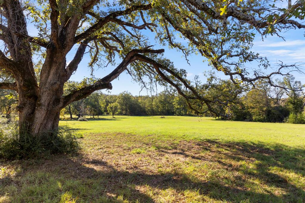 6899 County Road 317, Centerville, Texas image 7
