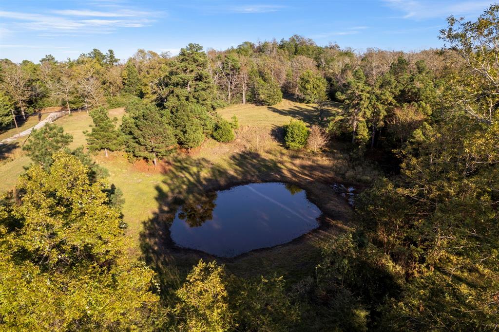 6899 County Road 317, Centerville, Texas image 10