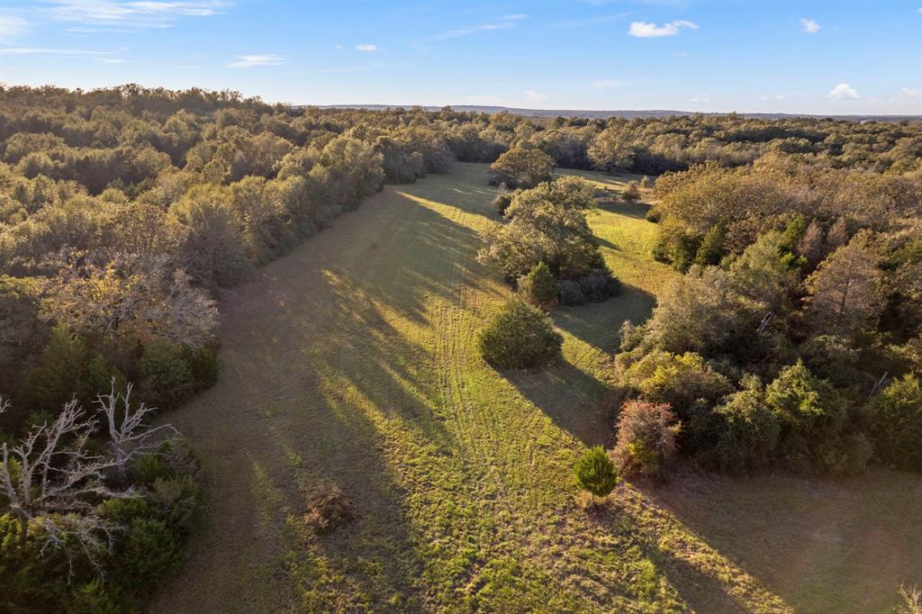 6899 County Road 317, Centerville, Texas image 5
