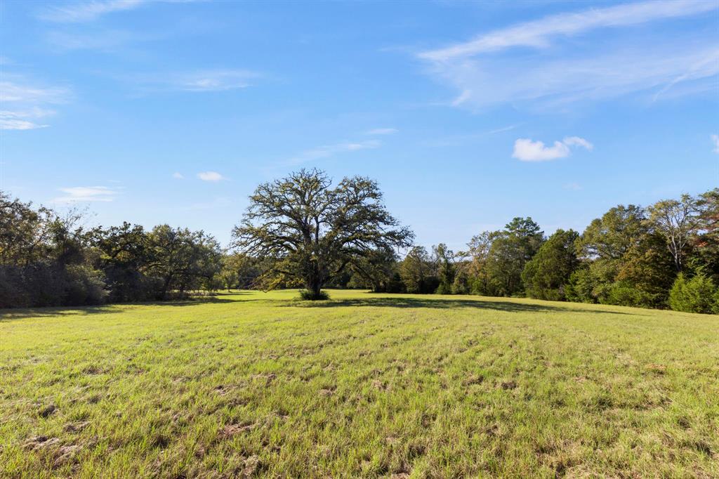 6899 County Road 317, Centerville, Texas image 42