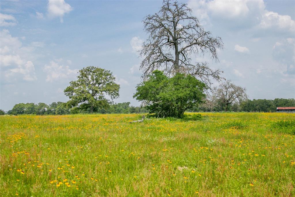 Lot 32 (5.41 Acres) Legacy Road, Somerville, Texas image 19