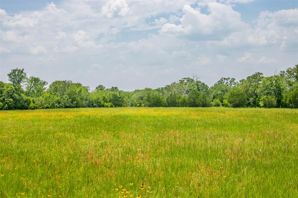 Lot 32 (5.41 Acres) Legacy Road, Somerville, Texas image 31