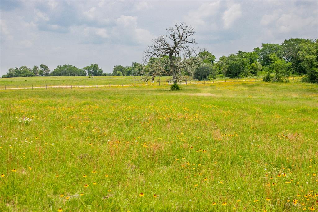 Lot 32 (5.41 Acres) Legacy Road, Somerville, Texas image 23