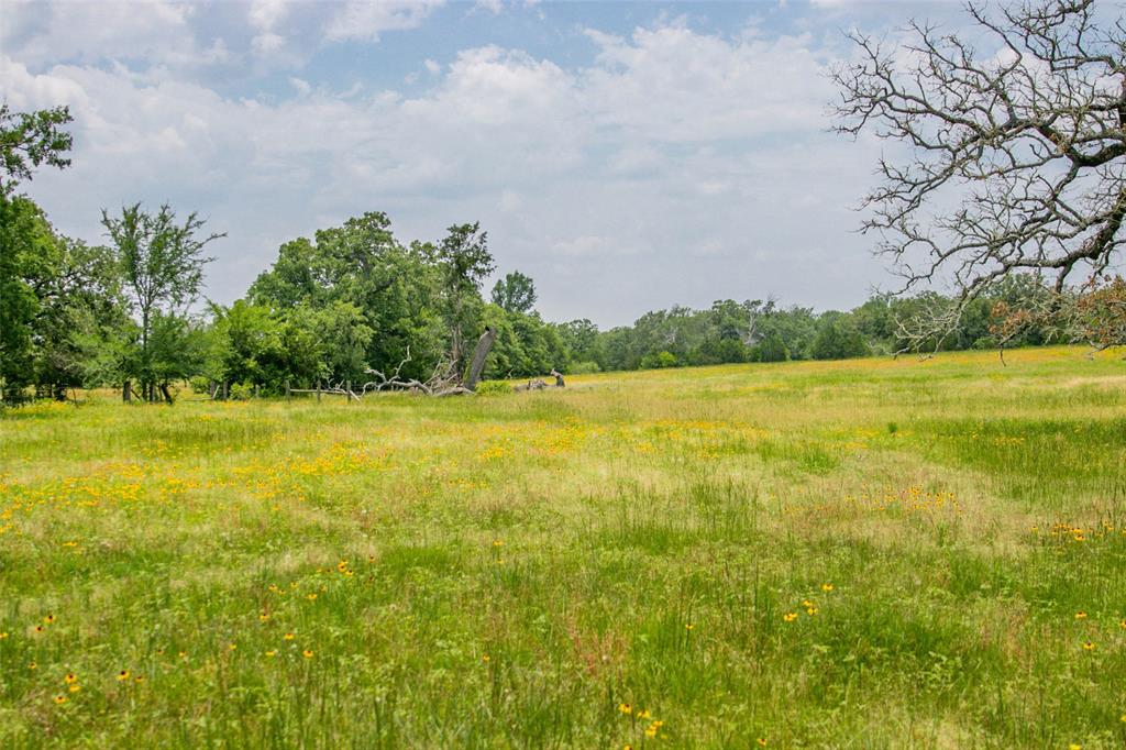 Lot 32 (5.41 Acres) Legacy Road, Somerville, Texas image 3