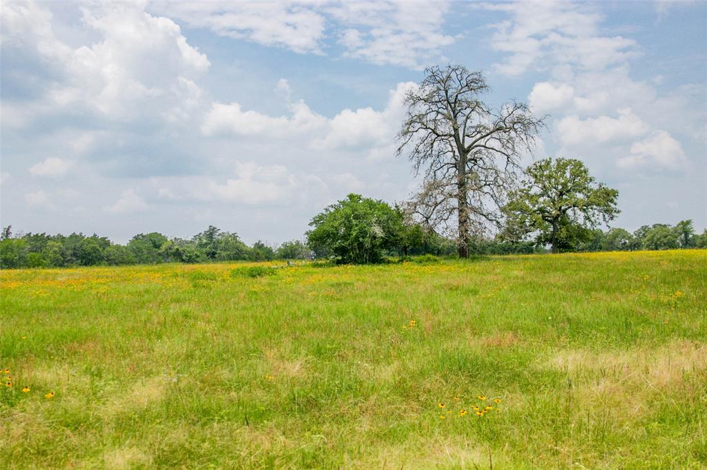 Lot 32 (5.41 Acres) Legacy Road, Somerville, Texas image 16