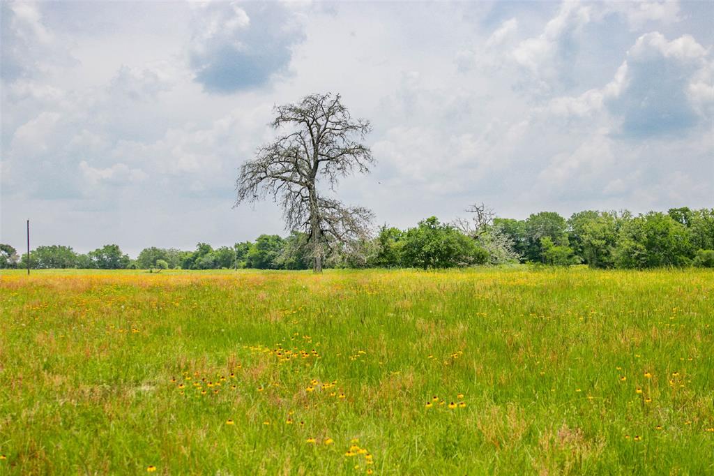 Lot 32 (5.41 Acres) Legacy Road, Somerville, Texas image 32