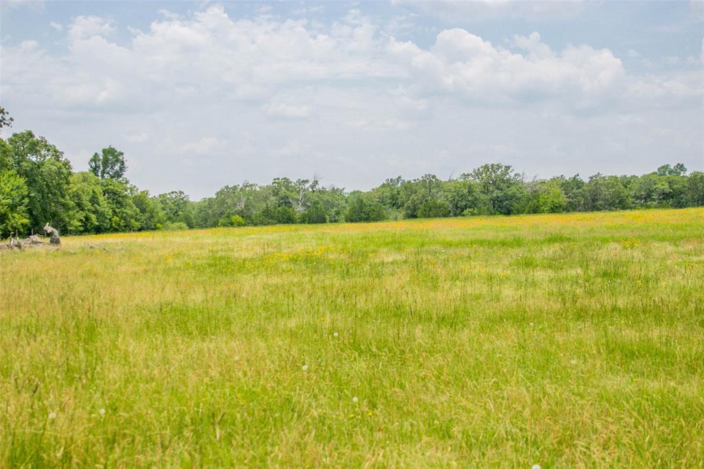 Lot 32 (5.41 Acres) Legacy Road, Somerville, Texas image 13