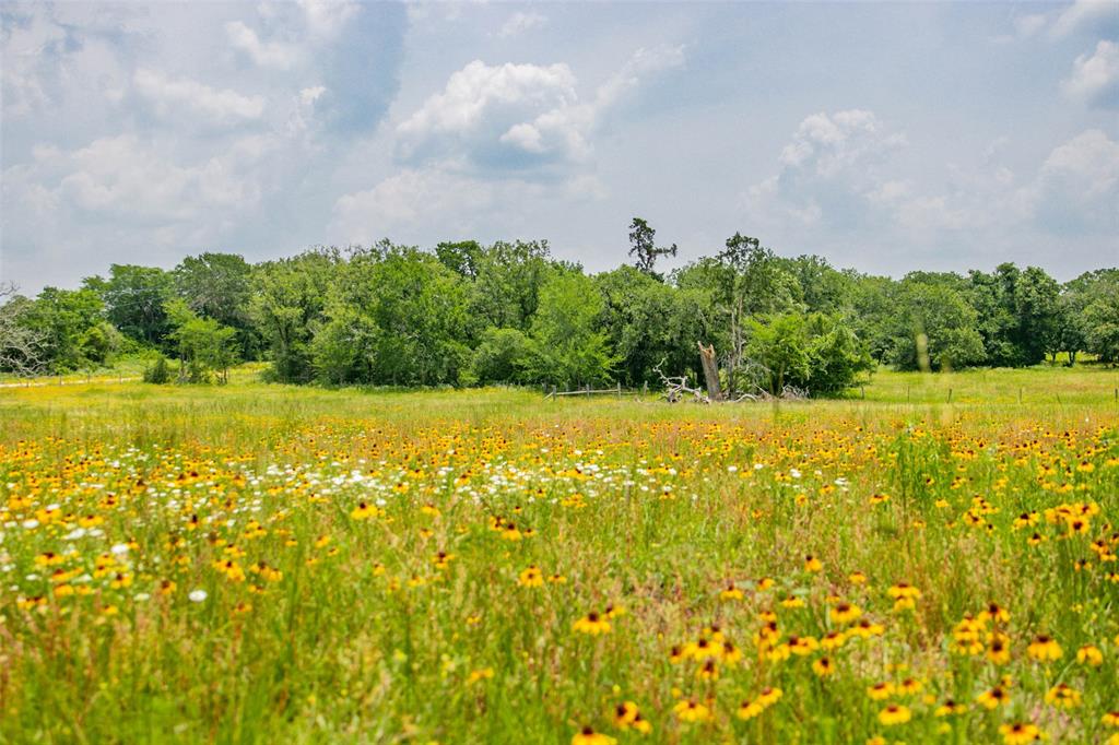 Lot 32 (5.41 Acres) Legacy Road, Somerville, Texas image 28