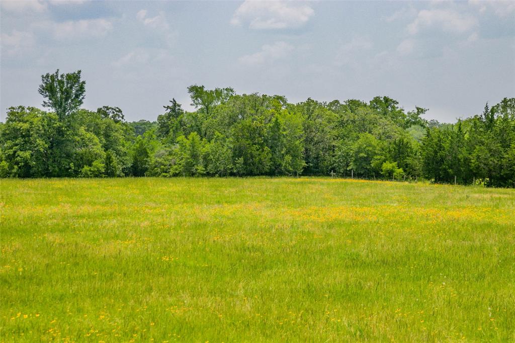 Lot 32 (5.41 Acres) Legacy Road, Somerville, Texas image 34