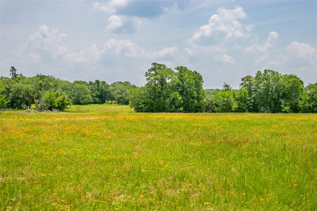 Lot 32 (5.41 Acres) Legacy Road, Somerville, Texas image 30