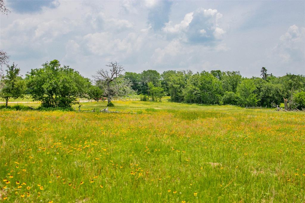 Lot 32 (5.41 Acres) Legacy Road, Somerville, Texas image 29