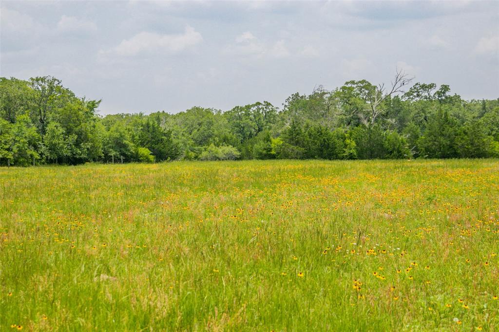 Lot 32 (5.41 Acres) Legacy Road, Somerville, Texas image 20