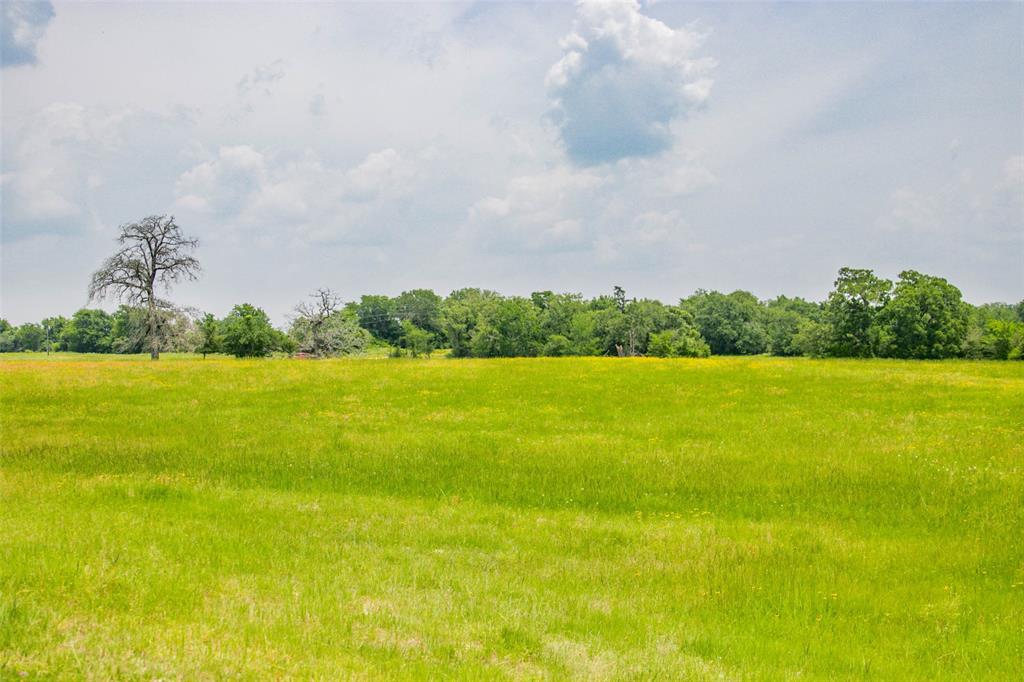 Lot 32 (5.41 Acres) Legacy Road, Somerville, Texas image 33