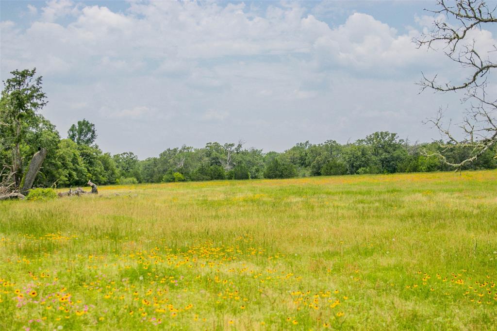 Lot 32 (5.41 Acres) Legacy Road, Somerville, Texas image 12