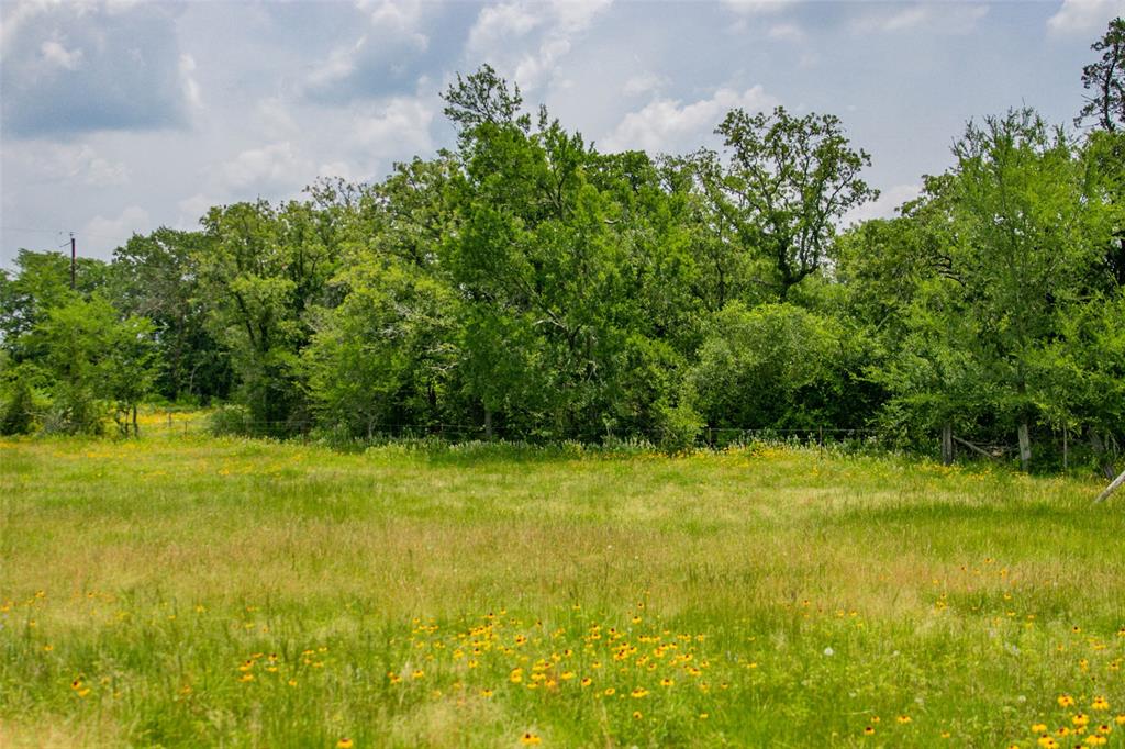 Lot 32 (5.41 Acres) Legacy Road, Somerville, Texas image 18