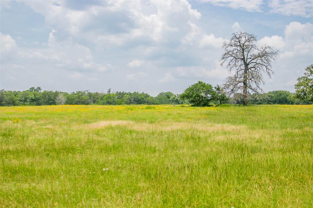 Lot 32 (5.41 Acres) Legacy Road, Somerville, Texas image 14