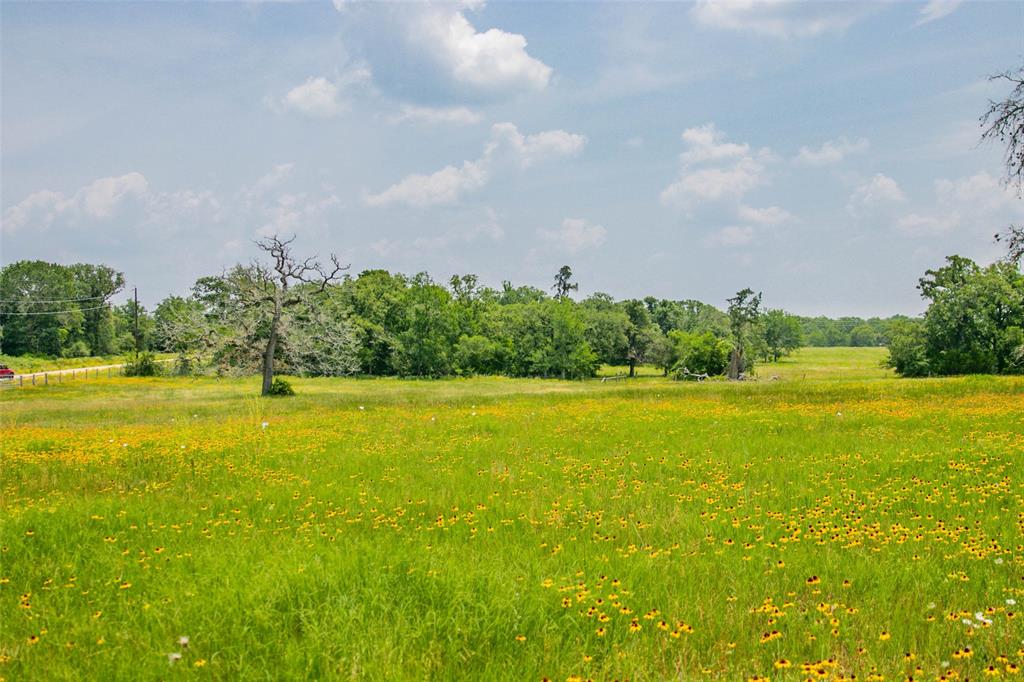 Lot 32 (5.41 Acres) Legacy Road, Somerville, Texas image 35