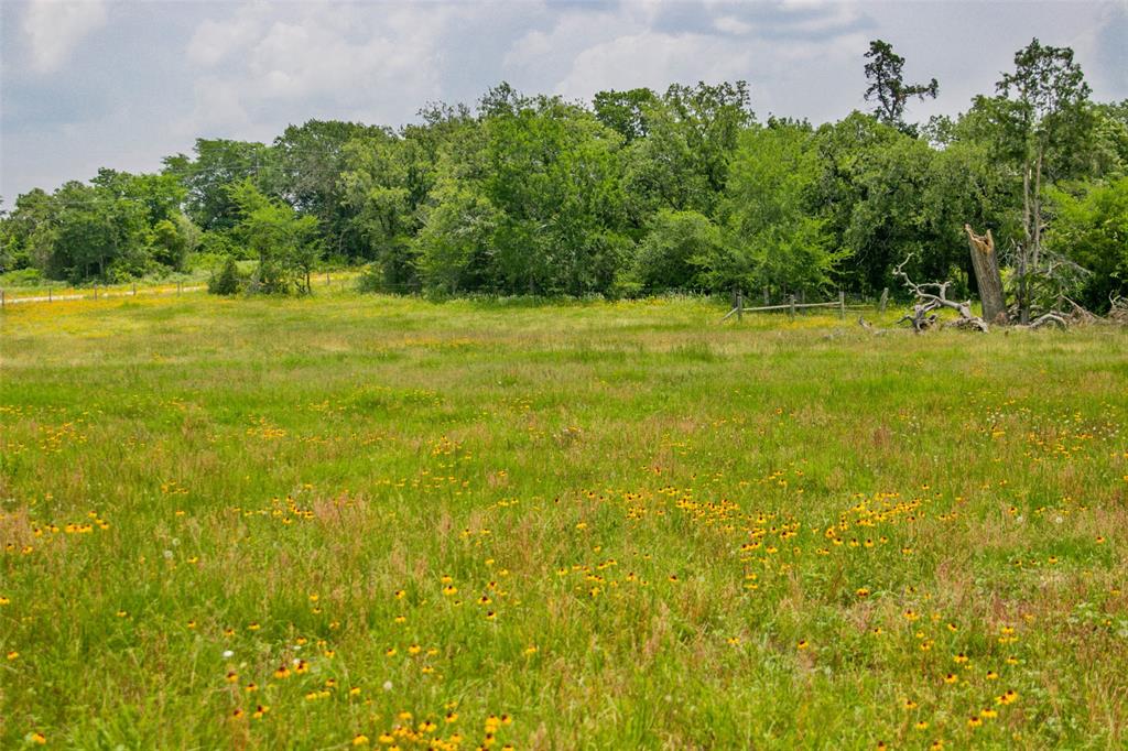 Lot 32 (5.41 Acres) Legacy Road, Somerville, Texas image 22